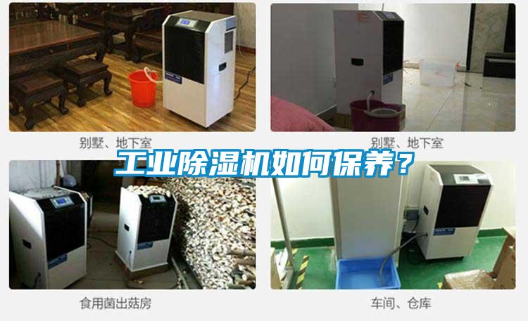 工业黄瓜视频下载污机如何保养？