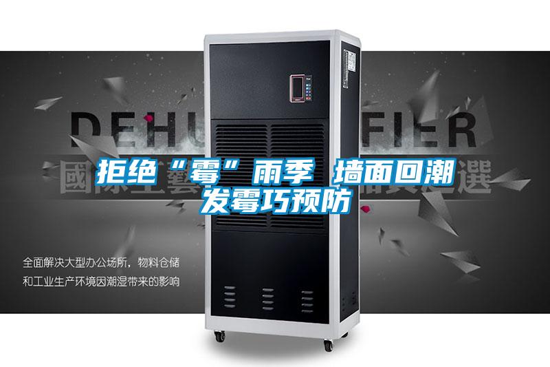 拒绝“霉”雨季 墙面回潮发霉巧预防