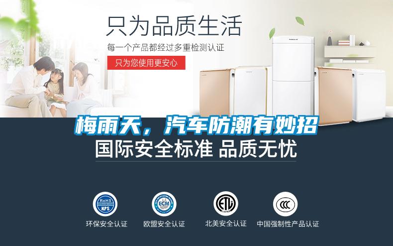 梅雨天，汽车防潮有妙招