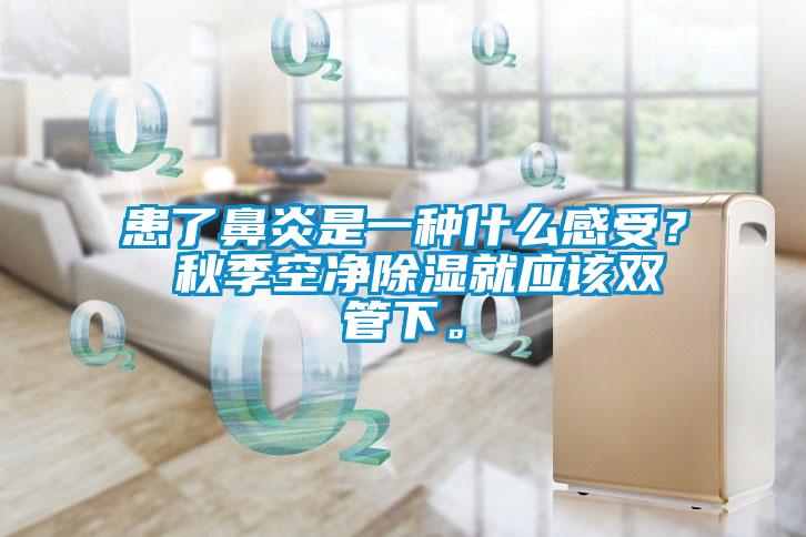 患了鼻炎是一种什么感受？ 秋季空净黄瓜视频下载污就应该双管下。