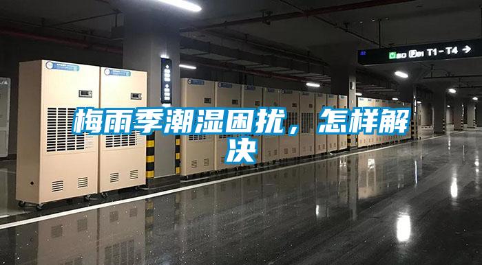 梅雨季潮湿困扰，怎样解决