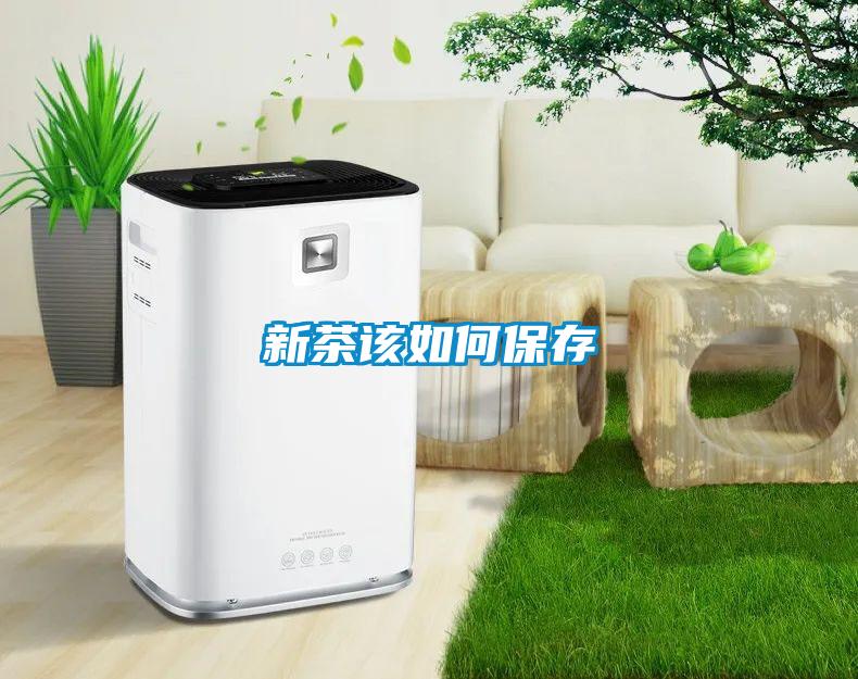 新茶该如何保存