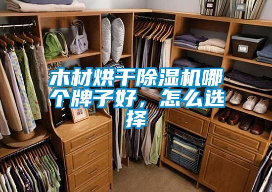 木材烘干黄瓜视频下载污机哪个牌子好，怎么选择