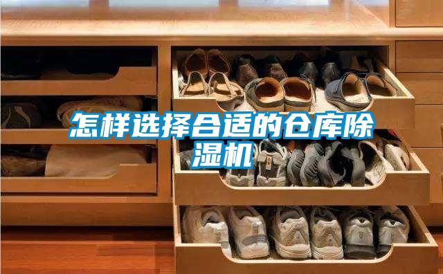 怎样选择合适的仓库黄瓜视频下载污机