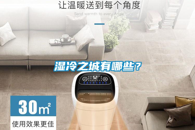 湿冷之城有哪些？
