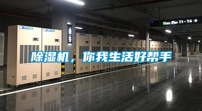 黄瓜视频下载污机，你我生活好帮手