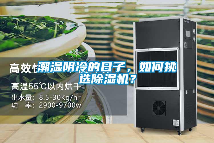 潮湿阴冷的日子，如何挑选黄瓜视频下载污机？