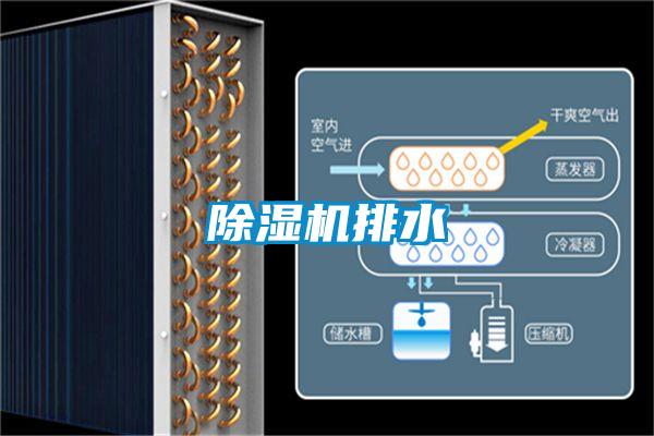 黄瓜视频下载污机排水