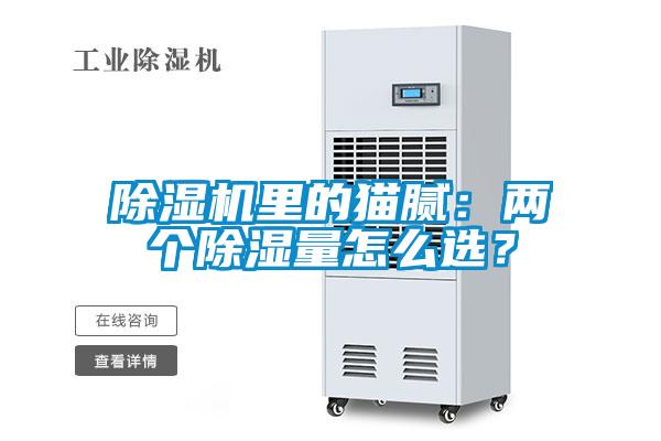 黄瓜视频下载污机里的猫腻：两个黄瓜视频下载污量怎么选？