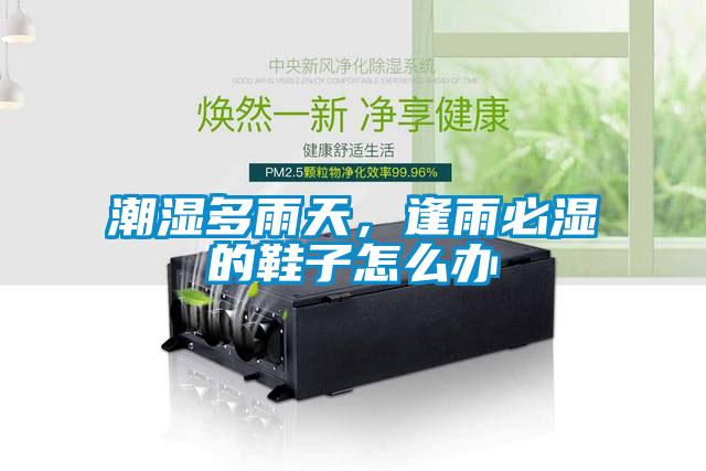 潮湿多雨天，逢雨必湿的鞋子怎么办