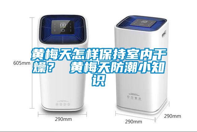 黄梅天怎样保持室内干燥? 黄梅天防潮小知识