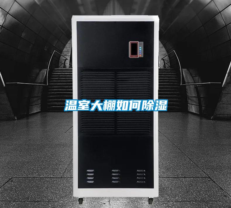 温室大棚如何黄瓜视频下载污