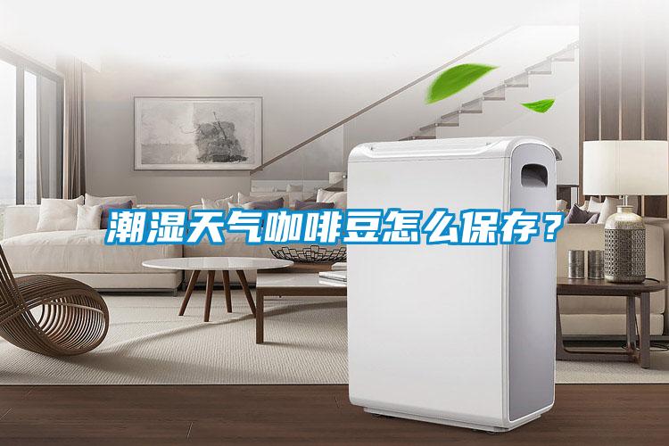 潮湿天气咖啡豆怎么保存？