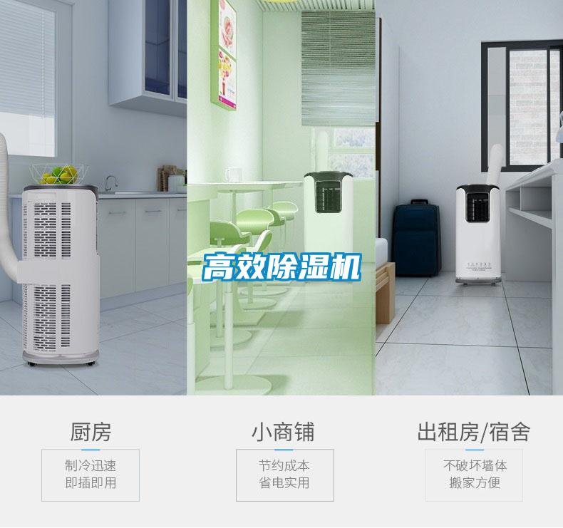 高效黄瓜视频下载污机
