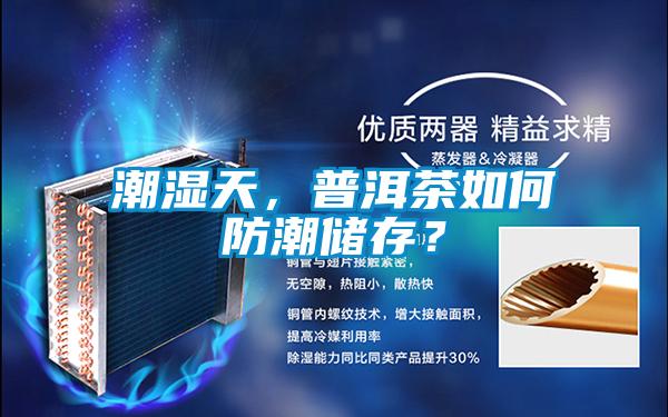 潮湿天，普洱茶如何防潮储存？