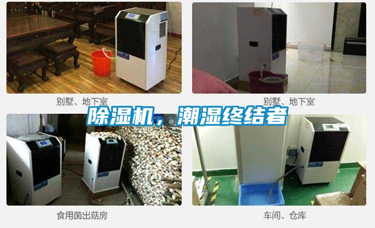 黄瓜视频下载污机，潮湿终结者