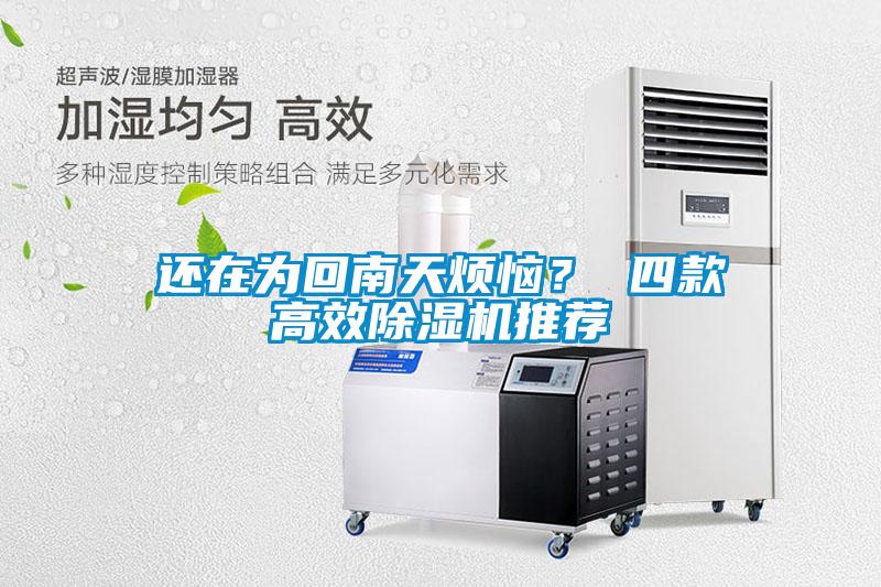 还在为回南天烦恼？ 四款高效黄瓜视频下载污机推荐