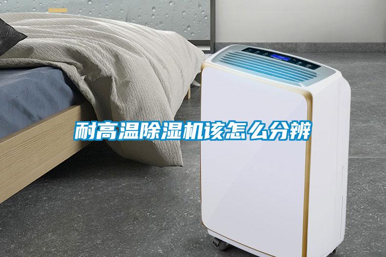 耐高温黄瓜视频下载污机该怎么分辨