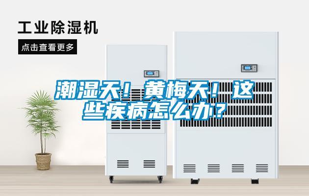 潮湿天！黄梅天！这些疾病怎么办？