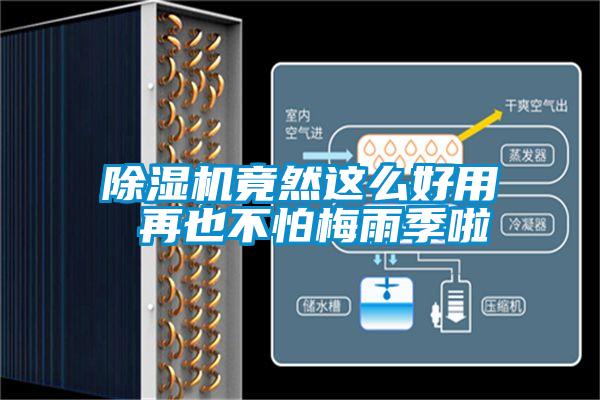 黄瓜视频下载污机竟然这么好用 再也不怕梅雨季啦