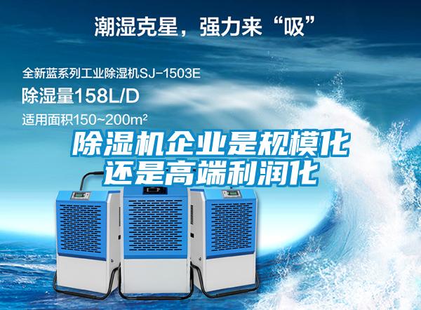 黄瓜视频下载污机企业是规模化还是高端利润化