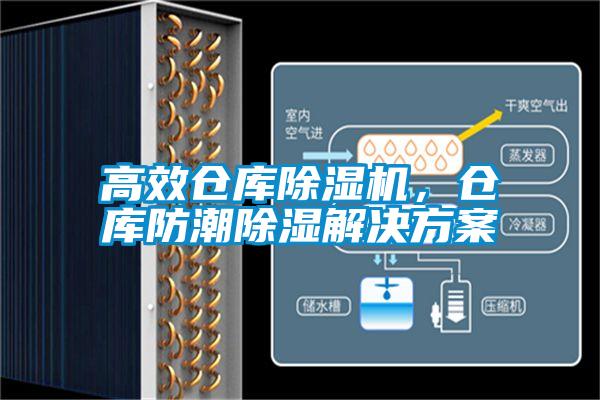 高效仓库黄瓜视频下载污机，仓库防潮黄瓜视频下载污解决黄瓜视频下载APP