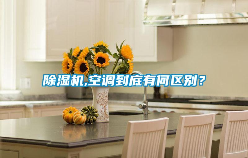黄瓜视频下载污机,空调到底有何区别？