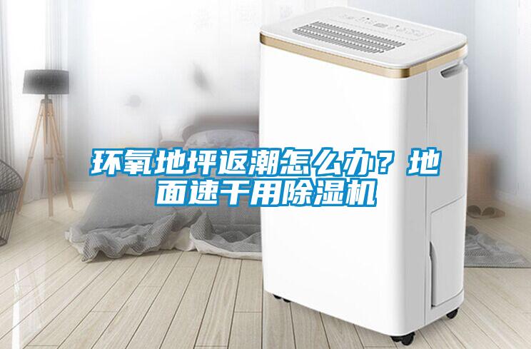 环氧地坪返潮怎么办？地面速干用黄瓜视频下载污机
