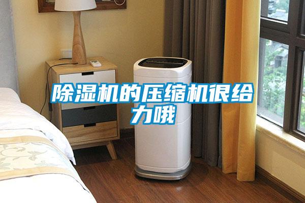 黄瓜视频下载污机的压缩机很给力哦