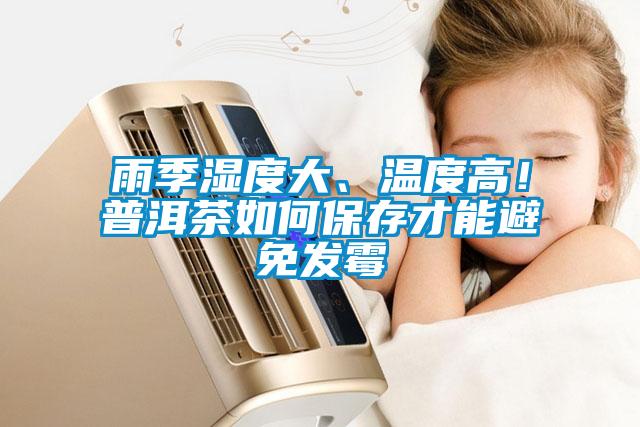 雨季湿度大、温度高！普洱茶如何保存才能避免发霉