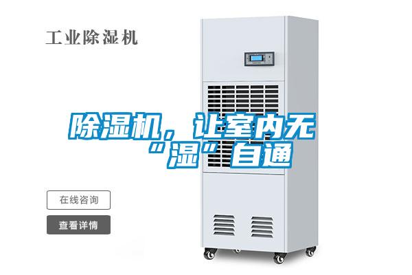 黄瓜视频下载污机，让室内无“湿”自通