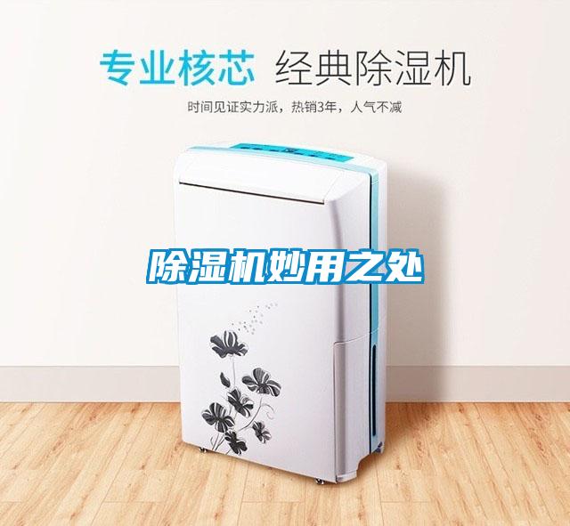黄瓜视频下载污机妙用之处