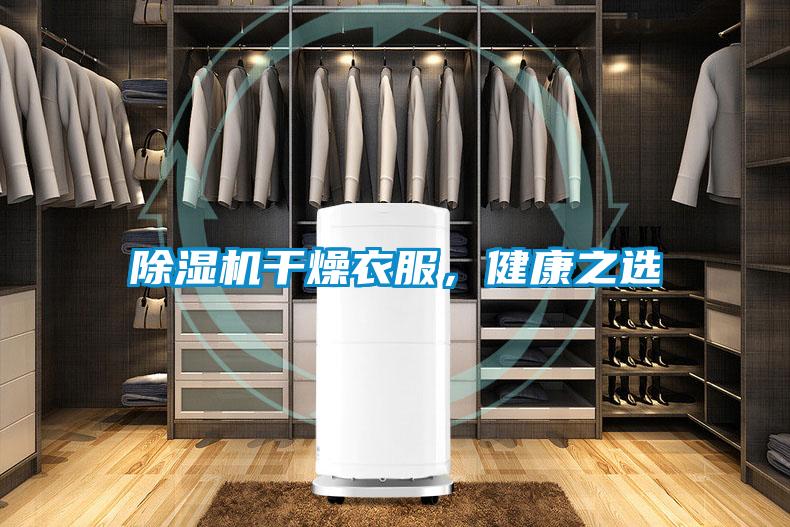 黄瓜视频下载污机干燥衣服，健康之选