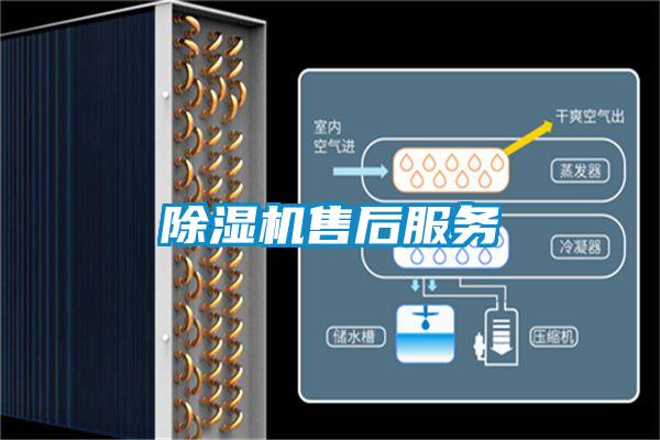 黄瓜视频下载污机售后服务