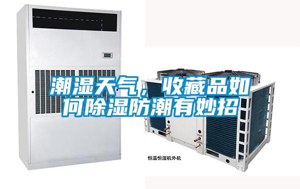 潮湿天气，收藏品如何黄瓜视频下载污防潮有妙招
