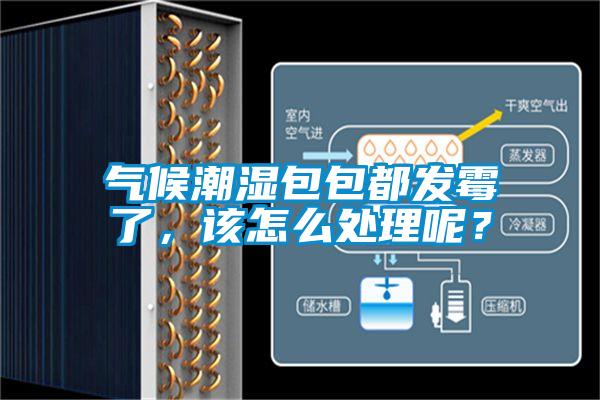 气候潮湿包包都发霉了，该怎么处理呢？