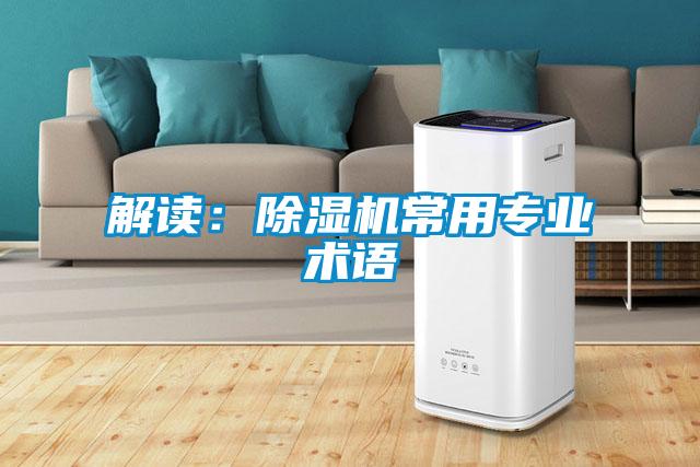 解读：黄瓜视频下载污机常用专业术语