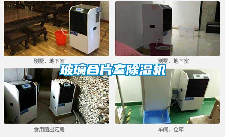 玻璃合片室黄瓜视频下载污机