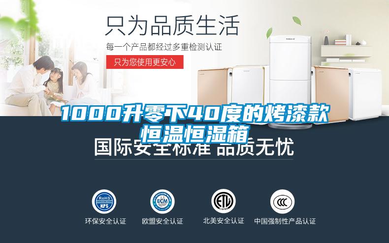 1000升零下40度的烤漆款恒温恒湿箱