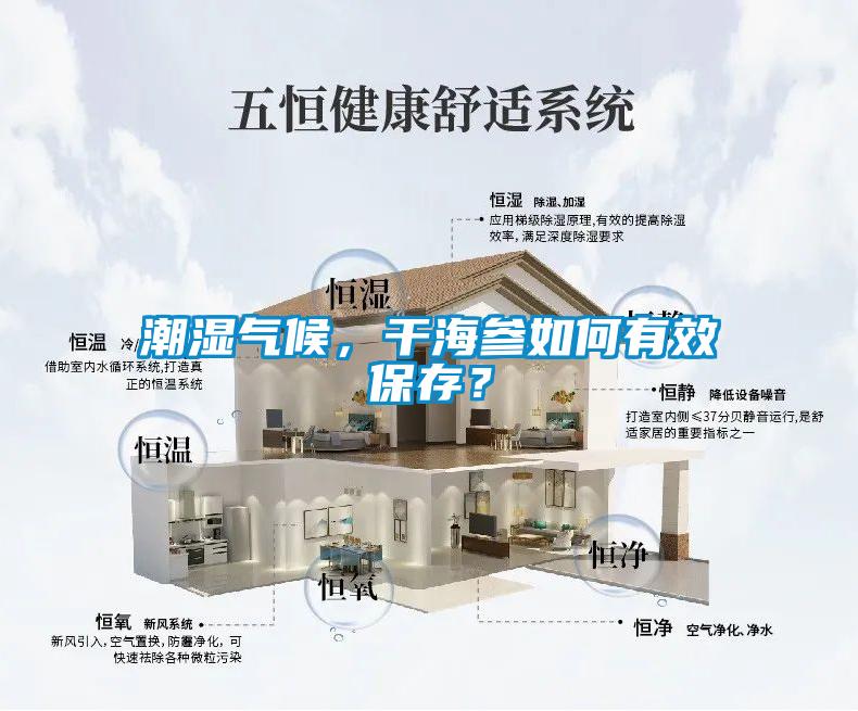 潮湿气候，干海参如何有效保存？