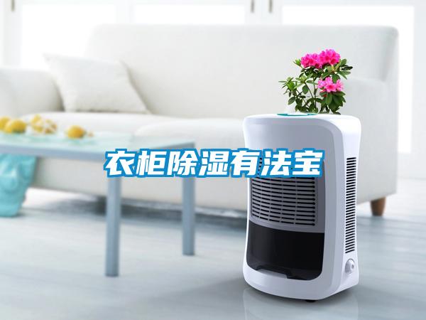 衣柜黄瓜视频下载污有法宝