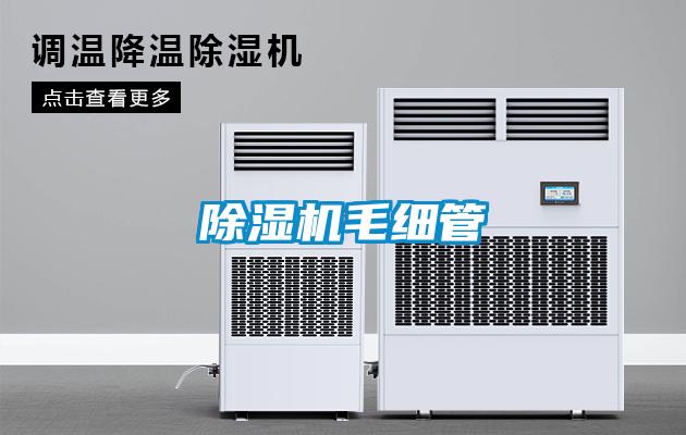 黄瓜视频下载污机毛细管