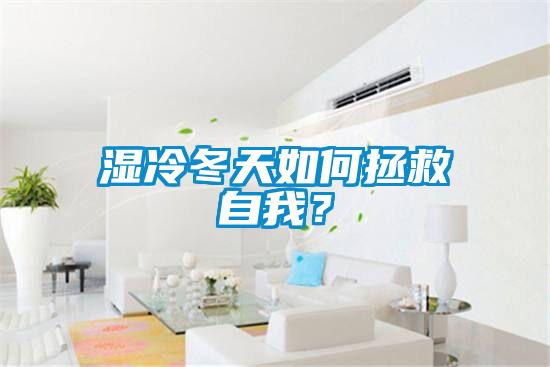 湿冷冬天如何拯救自我？