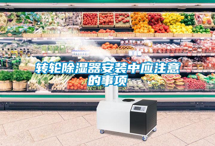 转轮黄瓜视频下载污器安装中应注意的事项