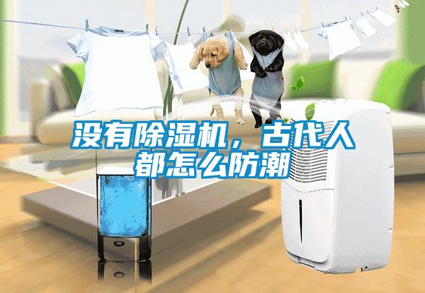 没有黄瓜视频下载污机，古代人都怎么防潮