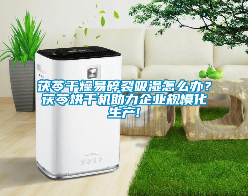 茯苓干燥易碎裂吸湿怎么办？茯苓烘干机助力企业规模化生产!