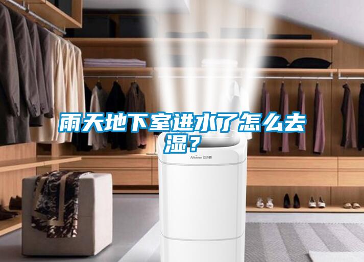 雨天地下室进水了怎么去湿？