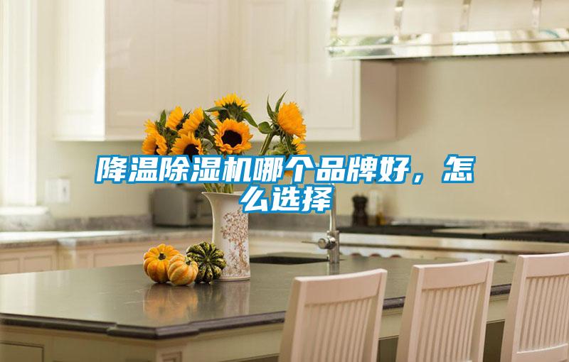 降温黄瓜视频下载污机哪个品牌好，怎么选择
