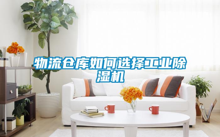 物流仓库如何选择工业黄瓜视频下载污机