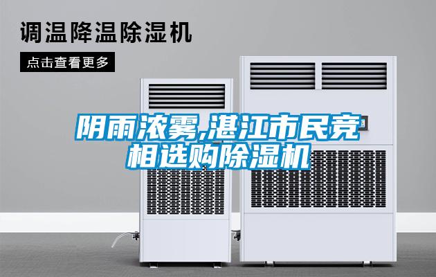 阴雨浓雾,湛江市民竞相选购黄瓜视频下载污机